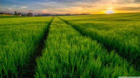 agriculture background design|4,000+ Free Agriculture Background & Agriculture Images .